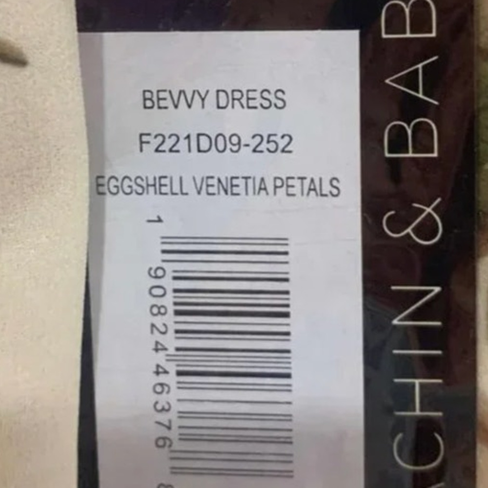 SACHIN + BABI Dress Size 10 Evening Gown NEW Bevvy Dress Floral Mini Cream - Picture 3 of 10